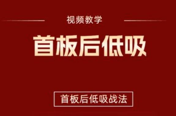 首板后低吸战法 视频+指标