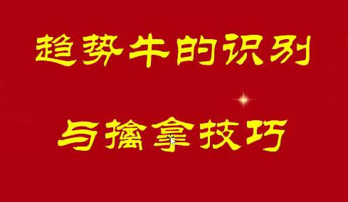 量学大讲堂冯雅丽2025庄影婀娜第9期课程正课系统课+收评 共39视频